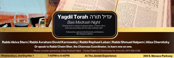 Read more about the article Yagdil Torah